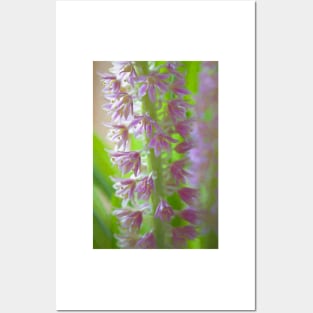 April Flowers Posters and Art